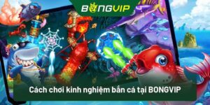 Tổng hợp về thông tin bắn cá Bongvip mới nhất hiện nay 2025