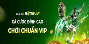 Bongvip - Khám phá nền tảng chơi cá cược thể thao hàng đầu